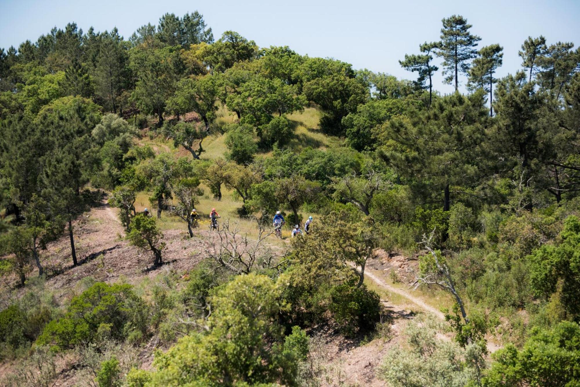 Herdade Das Barradas Da Serra Grandola Luaran gambar