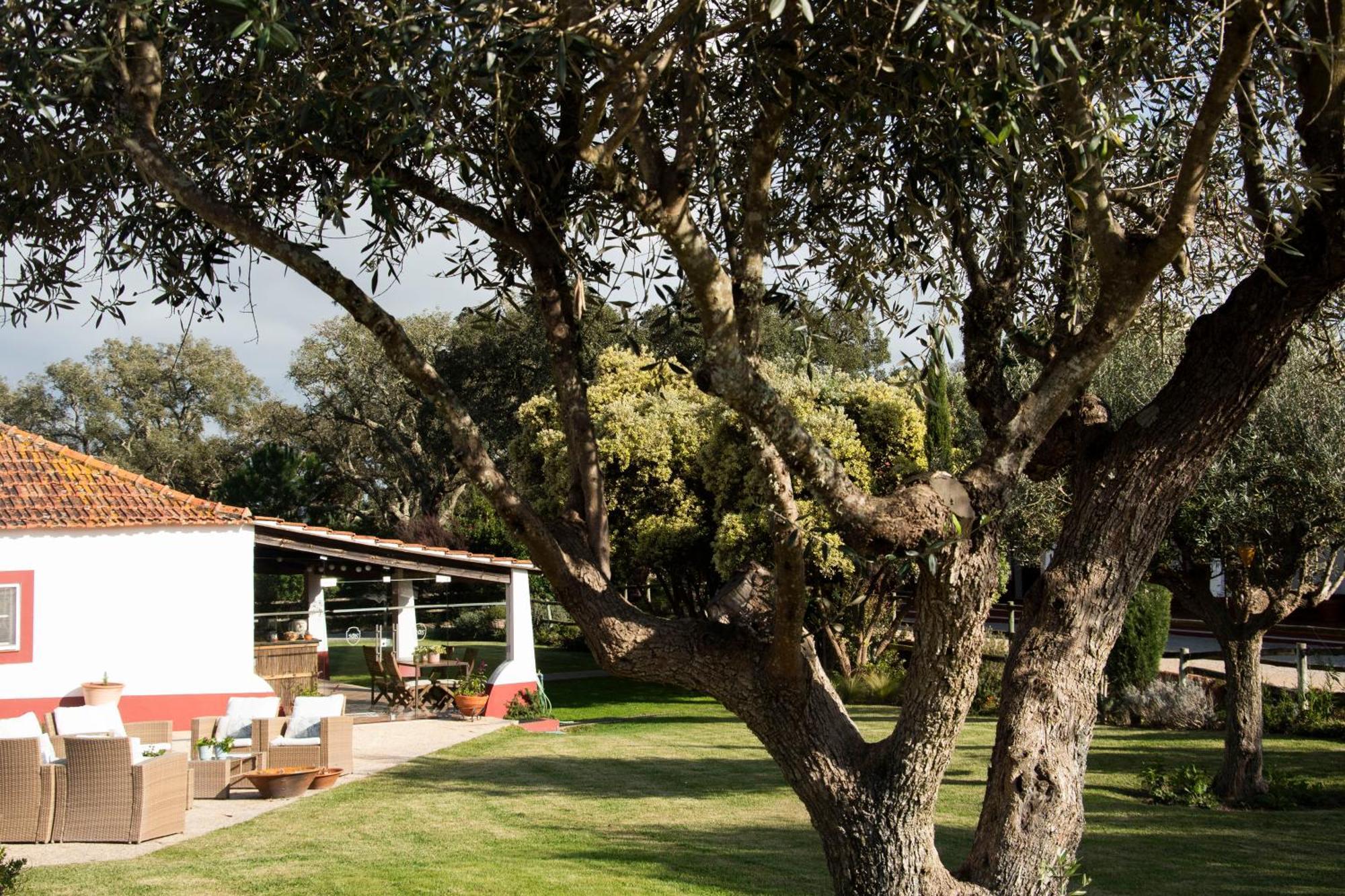 Herdade Das Barradas Da Serra Grandola Luaran gambar