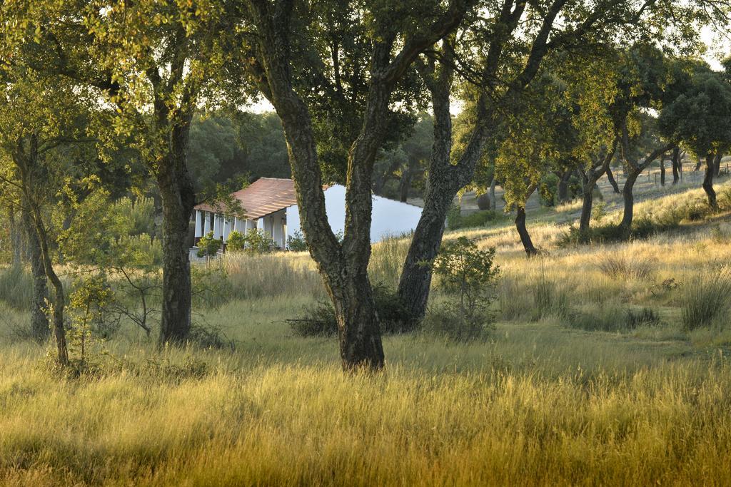 Herdade Das Barradas Da Serra Grandola Luaran gambar